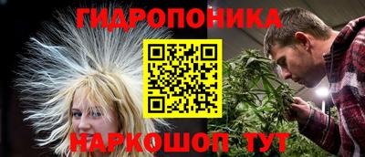 бошки Берёзовский