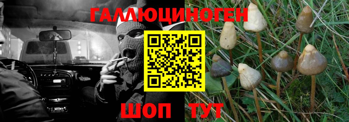 Галлюциногенные грибы Magic Shrooms  Вход с VPN  Галлюциногенные грибы мухоморы  Калуга 